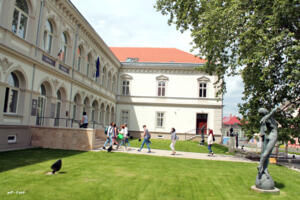 Fiatalok és a múzeum: megszólítani a nem látogatókat Fiatalok és a múzeum: megszólítani a nem látogatókat