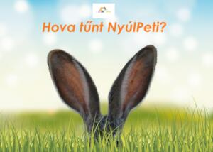 Családi Nyúltúra Zalaegerszegen – Segítsetek megtalálni NyúlPetit! Családi Nyúltúra Zalaegerszegen – Segítsetek megtalálni NyúlPetit!