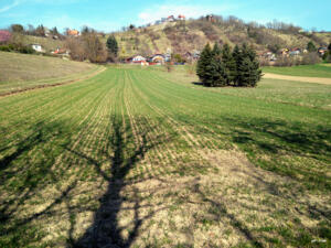 Természetesen Zala(egerszeg) Természetesen Zala(egerszeg)