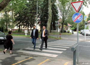 Okos zebra a biztonságért Okos zebra a biztonságért