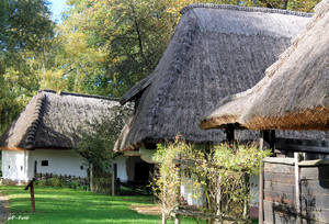 Konferencia a skanzen fejlesztéséről Konferencia a skanzen fejlesztéséről