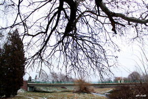 Rekreációs park a holtág mellett Rekreációs park a holtág mellett