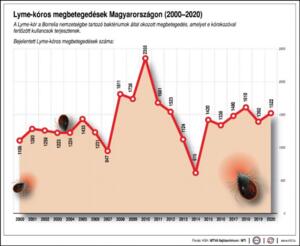 Az idei kullancs főszezon vége felé Az idei kullancs főszezon vége felé