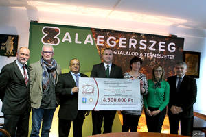 A szívsebészetet támogatják A szívsebészetet támogatják